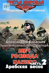 Меч Господа нашего – 2. Арабская весна. Продолжение романа «Период распада»