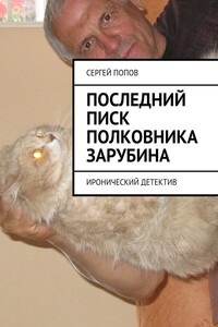 Последний писк полковника Зарубина. Детективная повесть