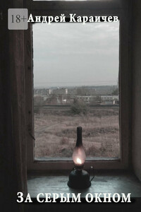 За серым окном