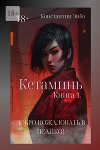 Кетаминь. Книга 1. Добро пожаловать в Псайко!