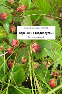 Вареники с гладиолусами. Рассказы для детей