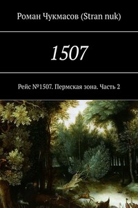 1507. Рейс №1507. Пермская зона. Часть 2