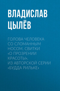 Голова человека со сломанным носом. Свитки «О прозрении Красоты». Из авторской серии «Будда Рильке»