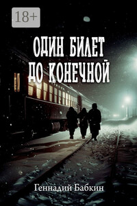 Один билет до конечной