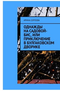 Однажды на Садовой-бис, или Приключение в Булгаковском дворике