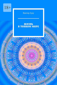 Жизнь в тонком мире