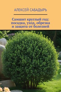 Самшит круглый год: посадка, уход, обрезка и защита от болезней