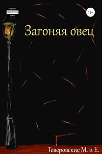 Загоняя овец