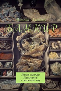 Банкир. Книга шестая: Прекрасный и жестокий мир