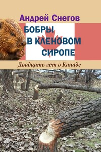 Бобры в кленовом сиропе. Двадцать лет в Канаде