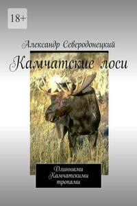 Камчатские лоси. Длинными Камчатскими тропами