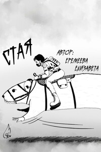 Стая