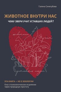 Животное внутри нас. Чему звери учат уставших людей?