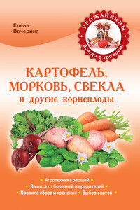 Картофель, морковь, свекла и другие корнеплоды