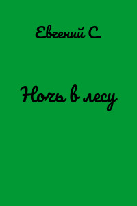 Ночь в лесу