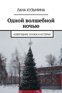 Одной волшебной ночью. Новогодние сказки и истории