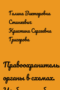Правоохранительные органы в схемах. Учебное пособие