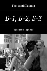 Б-1, Б-2, Б-3. неженский нероман