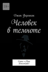 Человек в темноте. Серия «Мир детектива»