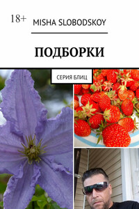 Подборки. Серия блиц
