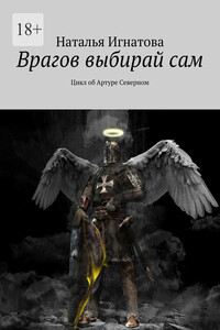 Врагов выбирай сам. Цикл об Артуре Северном