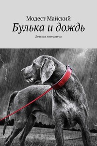 Булька и дождь. Детская литература