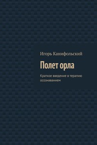 Полет орла. Краткое введение в терапию осознаванием