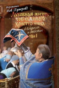 Духовная жизнь современного христианина в вопросах и ответах. Том 1