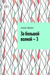 За большой волной – 3