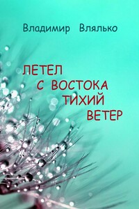 Летел с востока тихий ветер. Трехстишия в стиле сэнрю