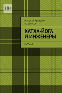 Хатха-йога и инженеры. Рассказ