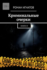 Криминальные очерки. Книга IV