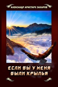 Если бы у меня были крылья