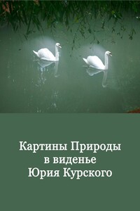 Картины Природы в виденьи Юрия Курского. Том 1
