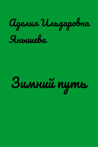 Зимний путь