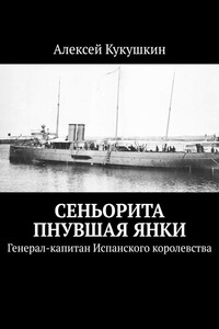 Сеньорита пнувшая янки. Генерал-капитан Испанского королевства