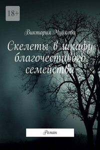 Скелеты в шкафу благочестивого семейства. Роман