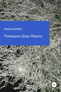 Помощник Деда Мороза