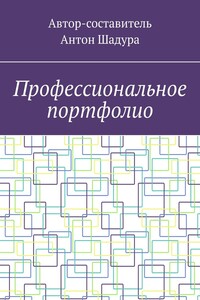 Профессиональное портфолио