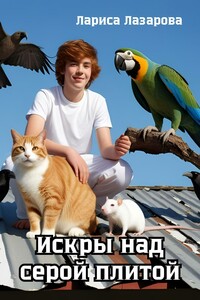 Искры над серой плитой