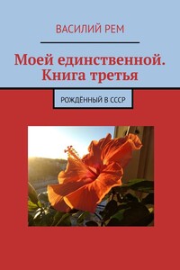 Моей единственной. Книга третья. Рождённый в СССР