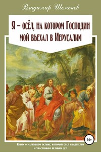Я ─ осёл, на котором Господин мой въехал в Иерусалим