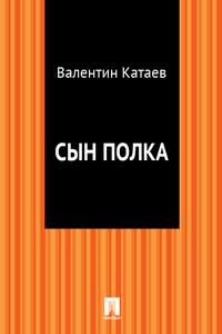Сын полка