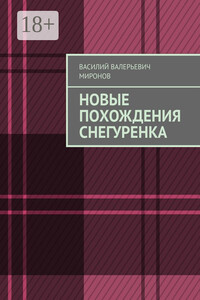 Новые похождения Снегуренка