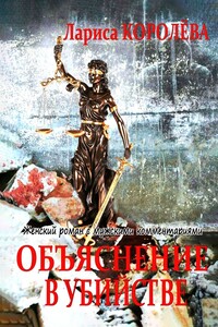 Объяснение в убийстве. Женский роман с мужскими комментариями