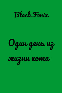 Один день из жизни кота