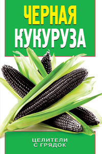 Черная кукуруза