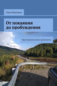 От покаяния до пробуждения. Курс введения в живое христианство