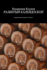 Разбитый калейдоскоп. Современная версия «На дне»