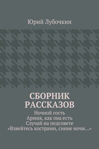 Сборник рассказов. Ночной гость. Армия, как она есть. Случай на педсовете. «Взвейтесь кострами, синие ночи…»